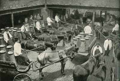 Szállítási kisteherautók az 1902-es Vauxhall-i Messrs, Freeth és Pococks központi raktárból. alkotó: Unbekannt
