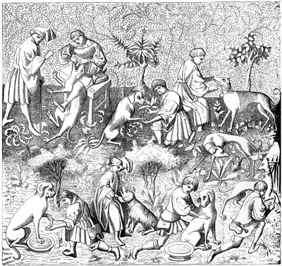 Kutyabetegségek és gyógymódjaik, 14. század 1849 alkotó: Unbekannt