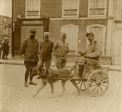 Kutyakocsi, Franciaország, c1914-c1918 alkotó: Unbekannt