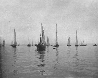 Kora reggel a New York-öbölben, USA, 1900. alkotó: Unbekannt