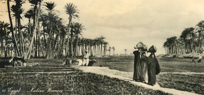 Egyiptom – bennszülött nők, 1918-c1939. alkotó: Unbekannt
