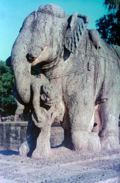 Elefánt szobor, Khajuraho, India. c950-1050. 20. század alkotó: Unbekannt