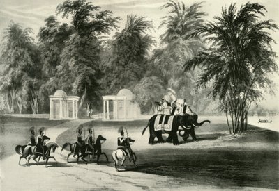 Elefántok és testőr a Barrackpore Parkban, 1820, 1925. alkotó: Unbekannt