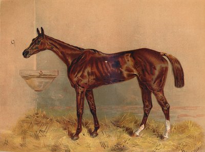 Jelkép, akadályverseny, 1879. alkotó: Unbekannt