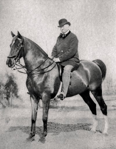 Emile de Girardin francia újságíró, publicista és politikus, 1866 alkotó: Unbekannt