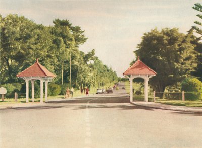 Eingang zum Kings Park, ca. 1947 von Unbekannt