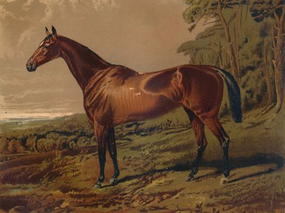 Fair Nell, 1879. alkotó: Unbekannt