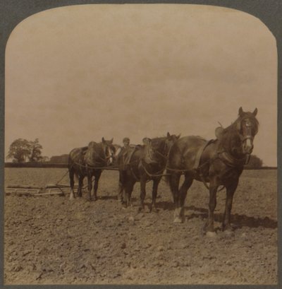 Gazdálkodás Angliában – Harrowing the Land, 1909. alkotó: Unbekannt