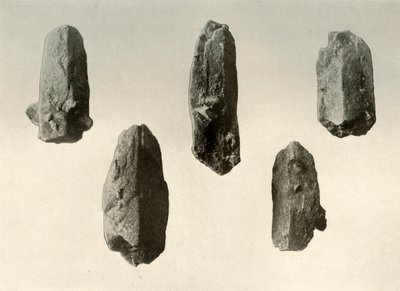 Földpát kristályok az Erebus-hegy csúcsáról, természetes méret, 1909 alkotó: Unbekannt