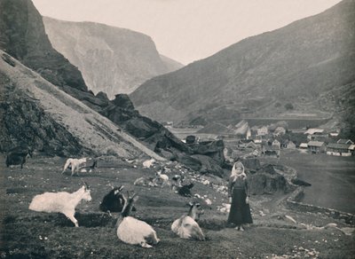 Flaam, 1914. alkotó: Unbekannt