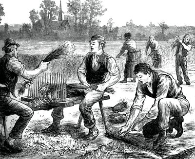 Lenhullámozás, c1880 alkotó: Unbekannt