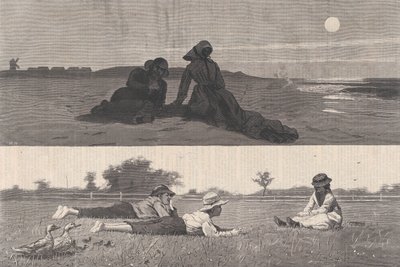 Flörtölni a Sea-Shore-on és a Meadow Harper