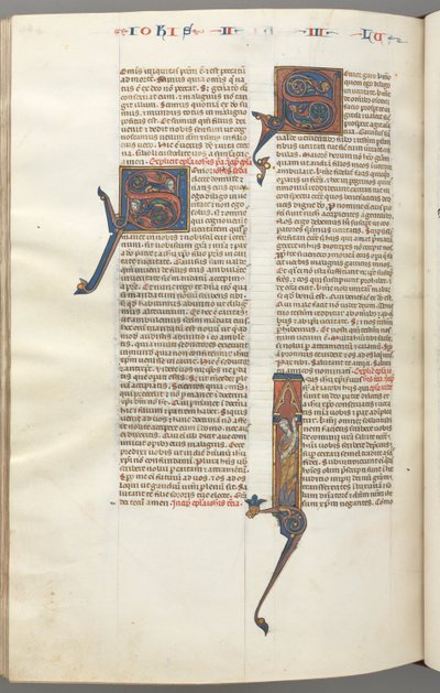 Fol. 481v, Jude, historikus kezdetű I, Jude állva egy tekercssel, c. 1275-1300. alkotó: Unbekannt