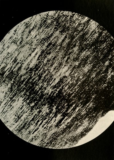 Fosszilis fa homokkőben, egy morénából a déli szélesség 85°-án, 1908, 1909. alkotó: Unbekannt
