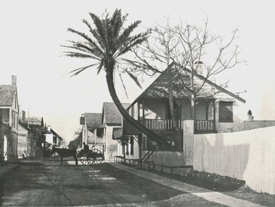 Francis Street, St Augustine, USA, 1895. alkotó: Unbekannt