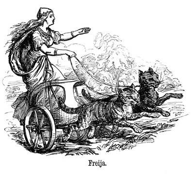 Freya Frigg, a szerelem istennője a skandináv mitológiában, macskák által vontatta szekerét vezeti alkotó: Unbekannt