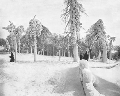 Frost Work in Prospect Park, Niagara, USA, c1900. alkotó: Unbekannt