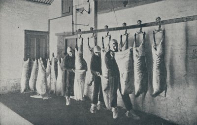 Fagyasztott hús, 1910 alkotó: Unbekannt