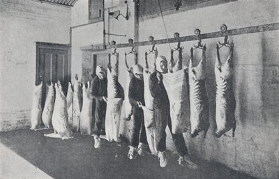 Fagyasztott hús, 1923. alkotó: Unbekannt