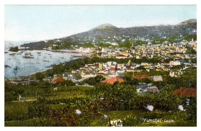 Funchal, Madeira, XX. század eleje alkotó: Unbekannt