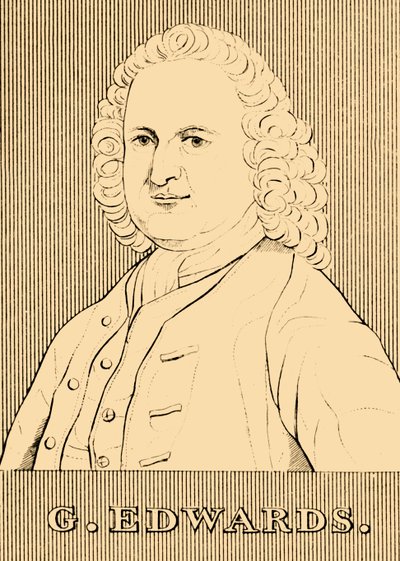 G. Edwards, 1694-1773, 1830. alkotó: Unbekannt