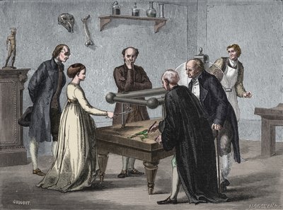 Galvanis felfedezése, 1780 1894 alkotó: Unbekannt
