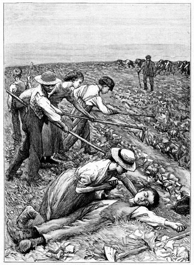A gyermekmunka bandarendszere, c1885 alkotó: Unbekannt