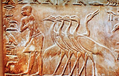 Liba, fali dombormű Ptahhotep sírjából, Szakkara, Egyiptom, ie 24. század alkotó: Unbekannt