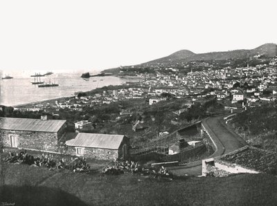 Funchal, Madeira, Portugália általános képe, 1895. alkotó: Unbekannt