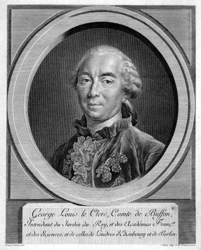 Georges-Louis Leclerc, Comte du Buffon, francia természettudós, 1761 alkotó: Unbekannt