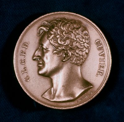 Georges Leopold Chretien Frederic Dagobert, Cuvier báró, francia anatómus, XIX. alkotó: Unbekannt