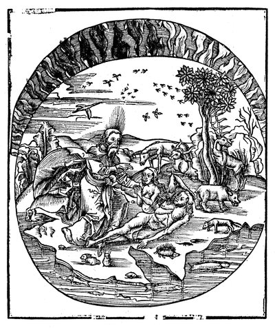 Isten teremtette Évát Ádám bordájából, 1508 alkotó: Unbekannt