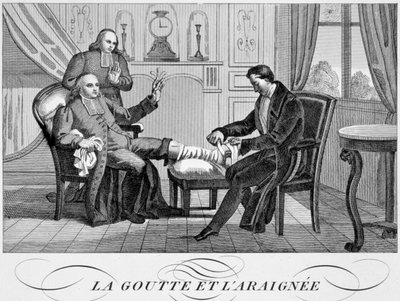 Köszvény és a pók, c1835 alkotó: Unbekannt