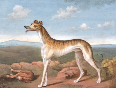 Agár: Balra néz, lábánál egy döglött nyúl, kb. 1805. alkotó: Unbekannt