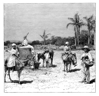 Haitiak csoportja, 1890 alkotó: Unbekannt