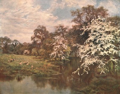 Hawthorn Blossoms, c1899, c1902. alkotó: Unbekannt