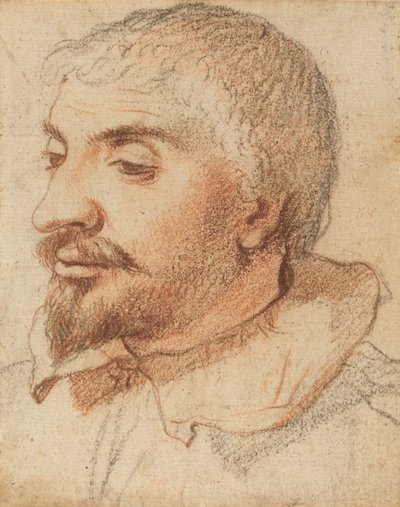 Egy ember feje, c. 1600. alkotó: Unbekannt