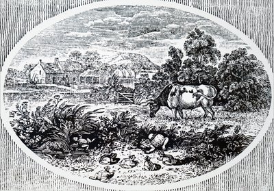 Thomas Bewick fejfedője alkotó: Unbekannt