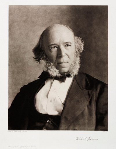 Herbert Spencer angol társadalomfilozófus alkotó: Unbekannt