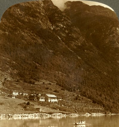 Hogrending farm, fészkelődik a hegyek bázisán, a Loen-tó K-i partján, Norvégia, 1905. alkotó: Unbekannt
