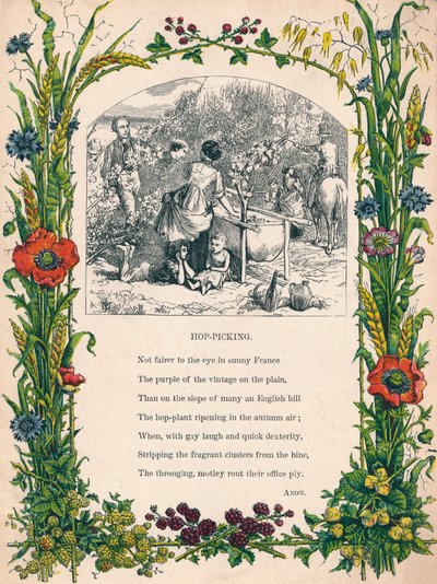 Hopfenpflücken, ca. 1900 von Unbekannt