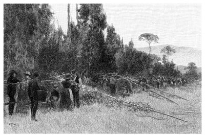 Komlószedés Bairnsdale közelében, Ausztráliában, 1886 alkotó: Unbekannt