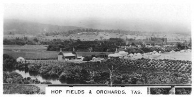 Komlóföldek és gyümölcsösök, Tasmania, Ausztrália, 1928 alkotó: Unbekannt