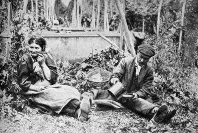 Komlószedők, Kenti komlóföldek, c1922 alkotó: Unbekannt