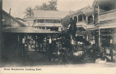 Hotel Mandeville, Looking East, Jamaica, 1913. alkotó: Unbekannt