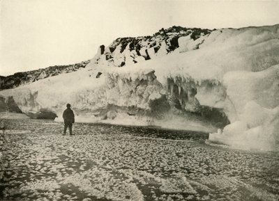 Jégvirágok az újonnan képződött tengeri jégen kora télen, c1908, 1909. alkotó: Unbekannt