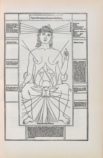 Illusztráció Johannes de Ketham Fasciculo di medicina című művéből, 1493. alkotó: Unbekannt