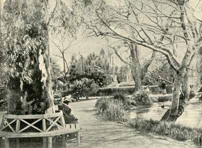 A botanikus kertben, Adelaide, 1901. alkotó: Unbekannt
