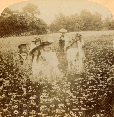 Százszorszép mezőn: Sweet Flowret of the Rural Glade, 1896. alkotó: Unbekannt