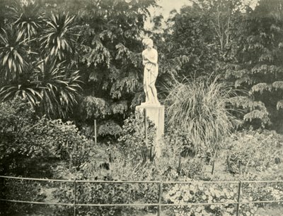 A Fitzroy Gardensben, Melbourne, 1901. alkotó: Unbekannt